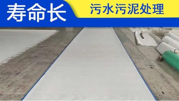 聚酯輸送網(wǎng)帶廠家?guī)懔私鉄崴苄跃埘サ某尚图庸すに?——旭瑞網(wǎng)業(yè)
